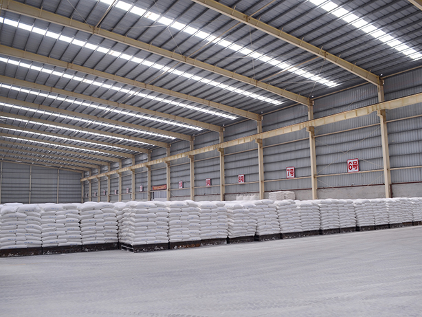 團(tuán)隊(duì)風(fēng)采